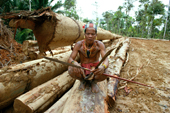 Mentawai medicine man on rainforest meranti logs. Siberut Island, Indonesia.