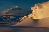 Snow cornice on the Erebus Glacial Tongue with Erebus and a good plume on the horizon. Ross Is. Antarctica