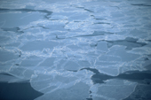 Sheets of nilas sea ice overlap each other with interlocking fingers, blown by the wind. Alaska. 2003