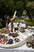Market stall in the main Plaza, selling illegal items of whalebone, and turtles. Punta Arenas. Chile