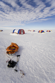Empty Pulk with harness and ski poles at the Patriot Hills Camp. West Antarctica