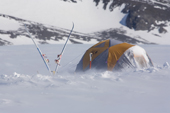 Mountain Hardware mountain tent in a wind at Patriot Hills. Antarctica