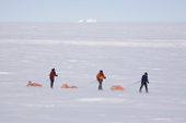 Margot, Lee and Jacob practice for skiing the last degree to the South Pole, Patriot Hills and the Three Sails. Antarctica