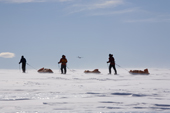 Margot, Lee and Jacob practice for skiing the last degree to the South Pole. Patriot Hills and Twin Otters, Antarctica