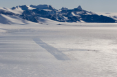 Blue Ice runway at Patriot Hills, run by Antarctic Logistics and Expeditions. Antarctica