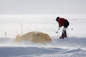 Shovelling snow from a mountain tent during a wind. Patriot Hills. Antarctica