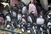Penguins made from semi precious stones in a shop in Ushuaia. Argentina.