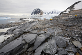 Rocks smoothed by glaciers and broken by frost action at Port Charcot, Booth Island. Antarctica