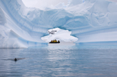 Zodiac, leopard seal and an ice arch in an iceberg, cruising near Pleneau Island. Antarctica
