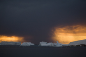 Heavy nimbostratus cloud and a snow squall amongst the icebergs in Marguerite Bay at sunset. Antarctica