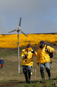 Yellow jacketed tourist by the flowering gorse and wind turbine on West Point Island. The Falklands