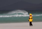 Tourist in a yellow jacket stands in blowing sand on a stormy beach. The Neck, Saunders Is. The Falklands