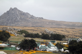 Seen from the harbour, Government House sits in the rural landscape. Stanley. Falklands.