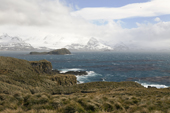 Mountains seen across the Bay of Isles and the Tussock Grass of Prion Island. South Georgia