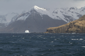Lone iceberg in the Bay of Isles. South Georgia. Sub Antarctic Islands