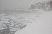 Snow squalls blow across the shoreline at Shingle Cove, Coronation Island, South Orkneys. Antarctica