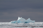Icebergs and Pack ice blown out of the Weddell Sea by persistent winds. South Orkney Islands. Antarctica