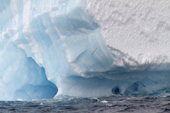 Bands of different coloured ice, showing how layers built up are clearly visible on a tilted tabular iceberg, also Antarctic Fulmar. Antarctica