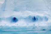 Distincive icicle fronted caves in an iceberg look like eyes. Antarctica