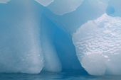Blue Iceberg ice, shaped into rounded forms by the sea water, has a dusting of snow. Antarctica