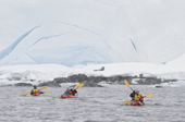 Tourists in double kayaks paddle past Glaciers in the snow. Mikkelsen Harbour, Trinity Island. Antarctica.