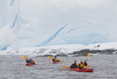 Tourists in double kayaks paddle past Glaciers in the snow. Mikkelsen Harbour, Trinity Island. Antarctica.