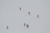 Tourists return from a ski trip in the snow. Mikkelsen Harbour, Trinity Island. Antarctica.