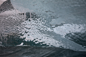 Texture on a small piece of clear iceberg ice changes the light. Antarctica