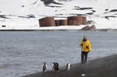Tourist on the shore with Gentoo Penguins at Whalers Bay. Deception Is. South Shetland Is. Antarctica