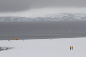 Tourists walk across the centre of Half Moon Island. Sth Shetland Is. Antarctica