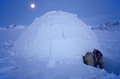 Aipilk crawling through the doorway of his igloo at night. Igloolik, Nunavut, Canada. 1990