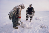 Inuit hunters, William Aupaluktuq and Tom Kudloo with an arctic fox they have caught in a trap near Baker Lake. Nunavut, Canadian Arctic. 1982