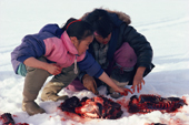 Inuit girls eat raw seal liver on a summer hunting trip. Igloolik, Nunavut, Canada. 1992