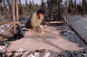 Cree woman, Elizabeth Brien scrapes the fur off a stretched caribou skin. Quebec. Canada. 1988