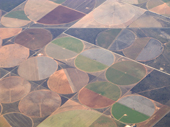 Patterns of irrigated agriculture in southern Texas.