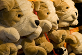Shelves full of large soft toy dogs. Gundog Day. Crufts Dog Show NEC. Solihull. UK