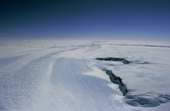 Crevasses show the fast moving ice in an Ice Stream. Enderby Land. Antarctica.