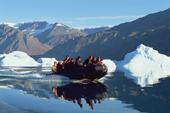 Tourist zodiac cruises amongst icebergs in Føhn Fiord, Scoresbysund Fiord. East Greenland. 2005