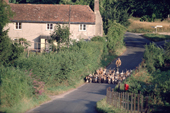 Kennel huntsman and staff exercise the hounds with bicycles in early summer. Portman Hunt. Dorset.England. 1988-89