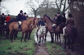 Riders wait in the rain while the huntsman and hounds draw coverts for a fox. Portman Hunt, Dorset. 1988-89