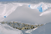 Emperor penguins rest and preen in a sheltered bowl between fantastic snow cornices. Antarctica