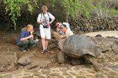 Visitors watch Giant Tortoises eating at the Charles Darwin Research Station. Puerto Ayora. Santa Cruz. Galapagos