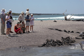 Visitors and marine iguanas survey each other on the shore at Punta Espinosa, Fernandina. Galapagos Ecuador