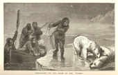 Crew of the doomed Hansa hunting polar bear for food. Second German Arctic Expedition 1868