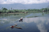 Fishing on Dal Lake. Kashmir, India. 1986