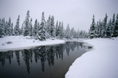 A small river winds its way through snow covered boreal forest. Labrador, Canada. 1997