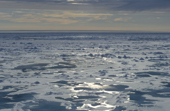 Sunlight catches patches of open water between ice floes in the Arctic Ocean. July. 1998