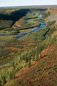 The Kugalik River valley in autumn colour. N.W.T. Canada. 1996