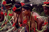 Women decorated with Hibiscus perform traditional Yapese sitting dance, on Map Island. Yap, Micronesia. 1996