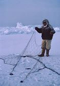 In the twilight of a January day, Ituko, an Inuit hunter, sets a net to catch seals under the sea ice. Moriussaq, Northwest Greenland. (1980)